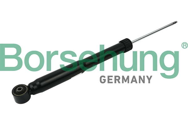 BORSEHUNG B12139