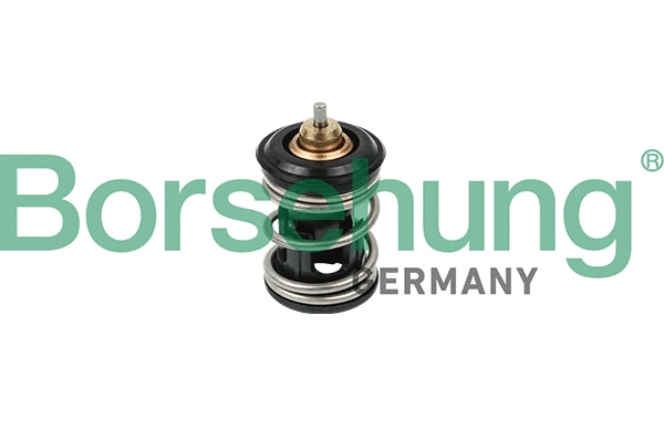 BORSEHUNG B18261