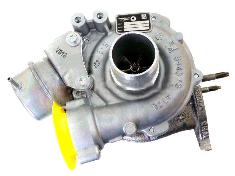 BORGWARNER 54389880018