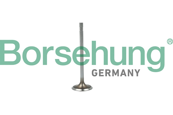 BORSEHUNG B19015