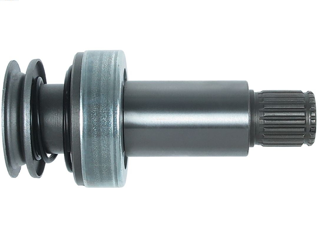 AS-PL SD0256