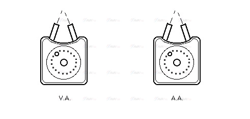 AVA VN3106