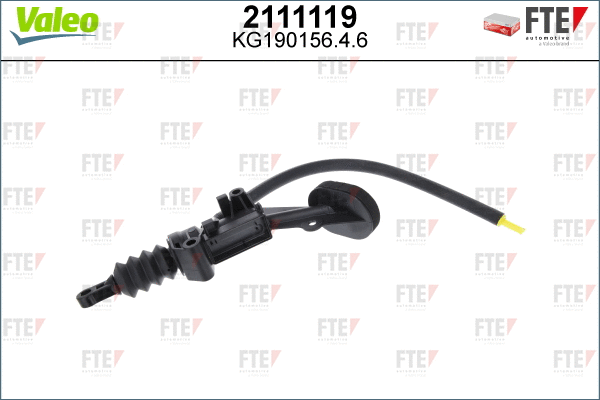 FTE 2111119
