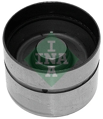 INA 420004310