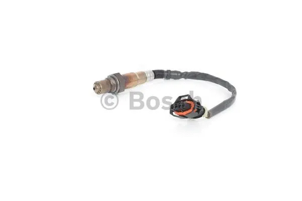 BOSCH 0258006924
