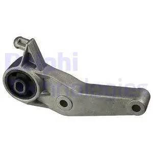 DELPHI TEM055