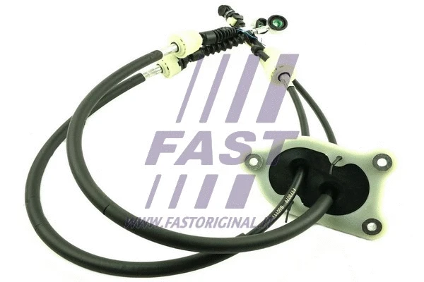 FAST FT73079