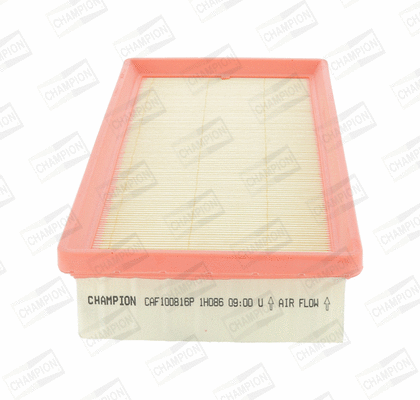 CHAMPION CAF100816P