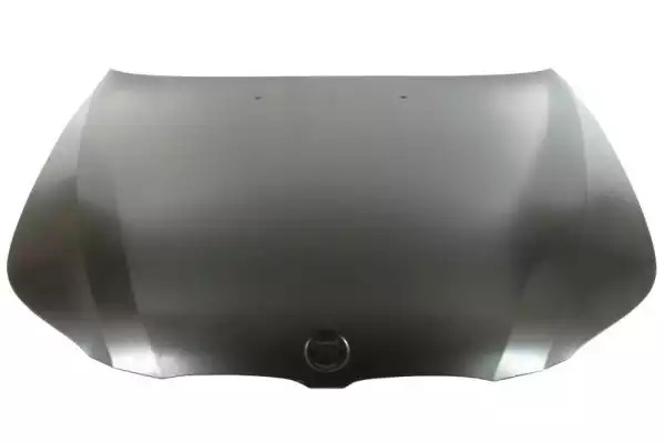 BMW 41617111385