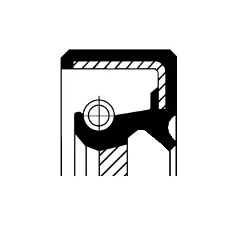CORTECO 19016922B