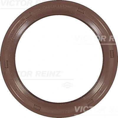 VICTOR REINZ 813667100