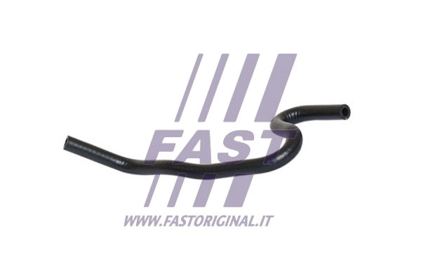 FAST FT61687