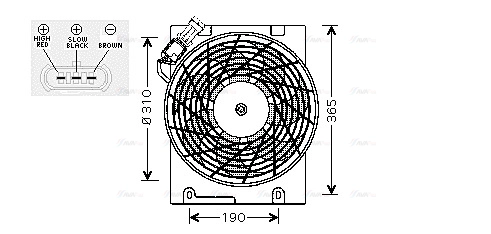 AVA OL7508