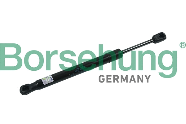 BORSEHUNG B18438