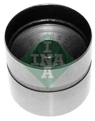 INA 420021010