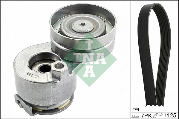 INA 529008810