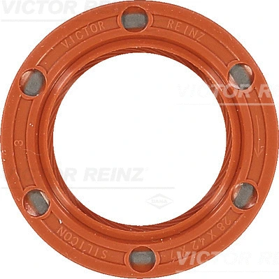 VICTOR REINZ 813365310