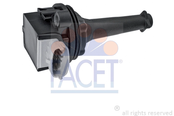 FACET 96378