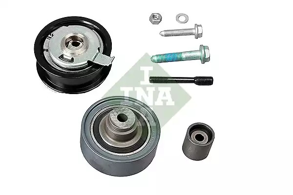 INA 530006009