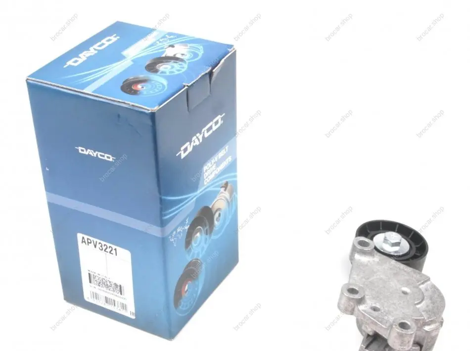 DAYCO APV3221