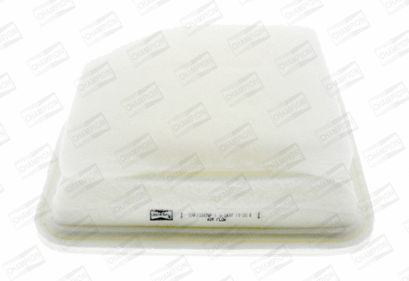 CHAMPION CAF100874P