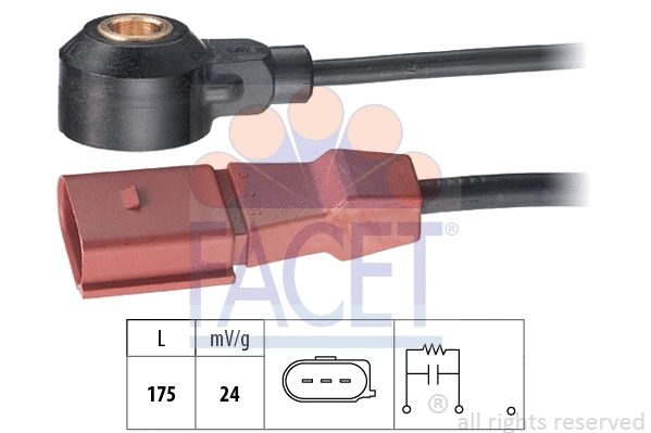 FACET 93173