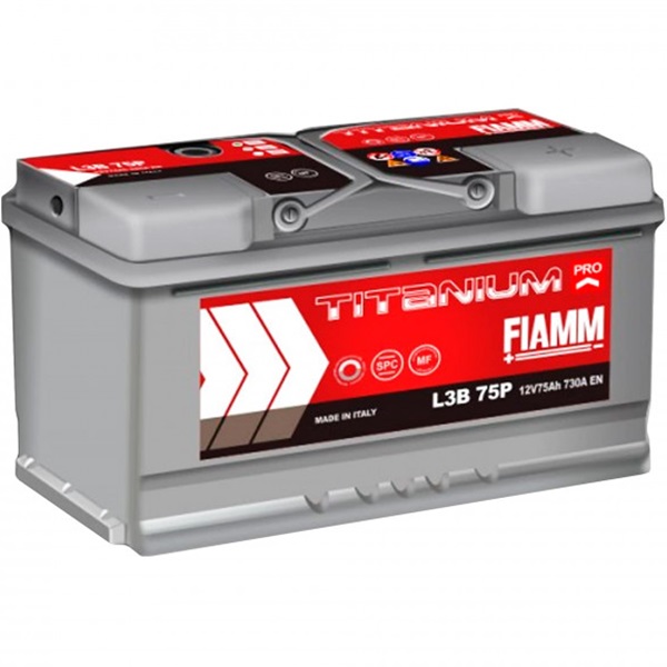 FIAMM 7905156