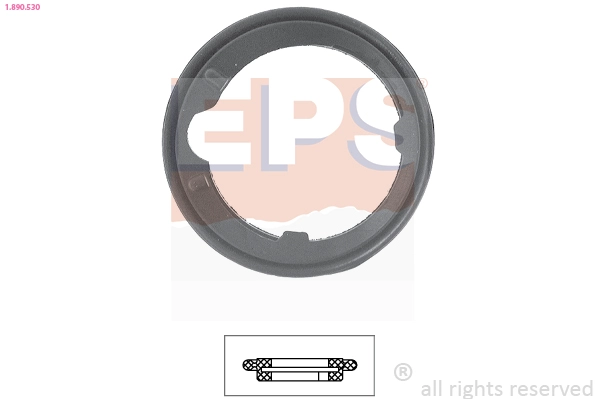 EPS 1890530