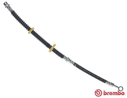 BREMBO T44031