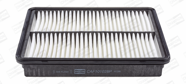 CHAMPION CAF101028P