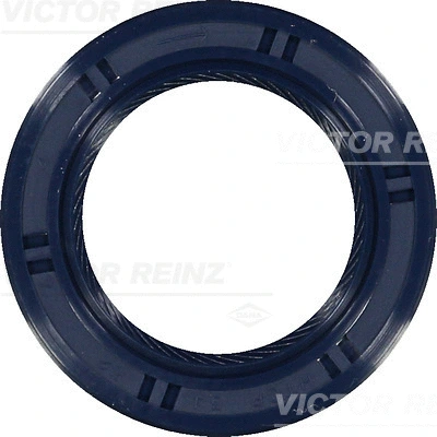 VICTOR REINZ 815349100