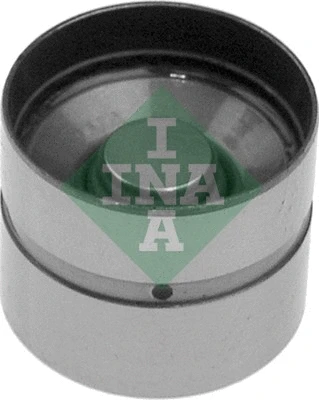 INA 420003110