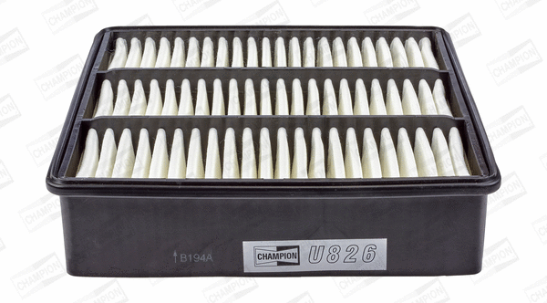 CHAMPION CAF100826P