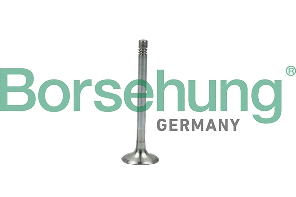 BORSEHUNG B19005