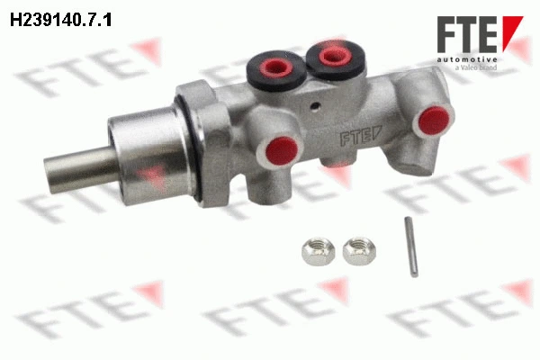 FTE H23914071