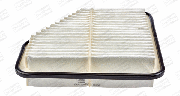 CHAMPION CAF100920P