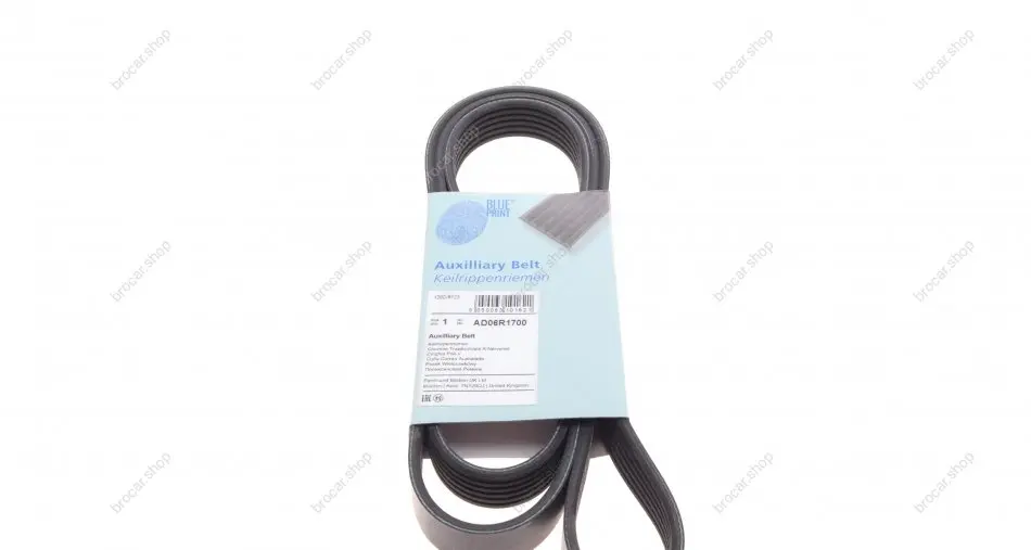 BLUE PRINT AD06R1700