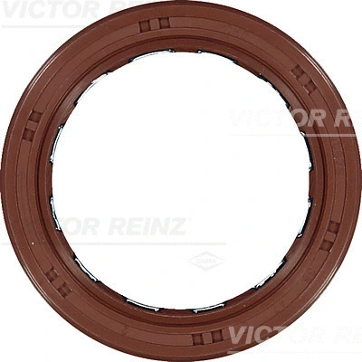 VICTOR REINZ 811037400