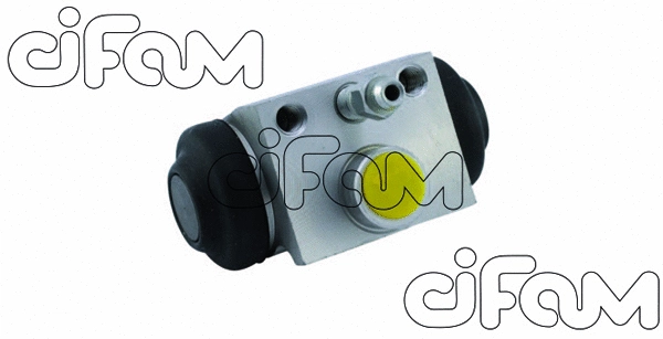 CIFAM 101742