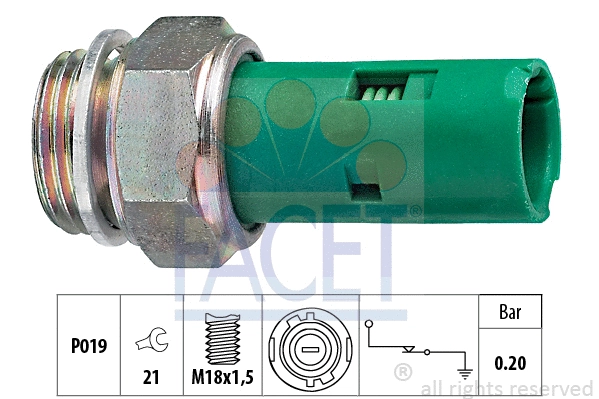 FACET 70110