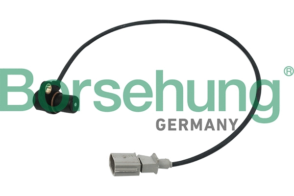 BORSEHUNG B13670