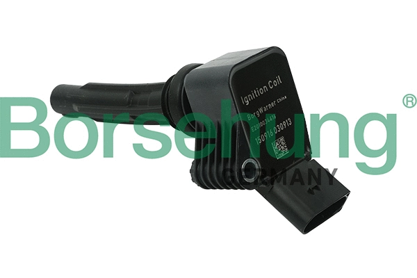 BORSEHUNG B15118
