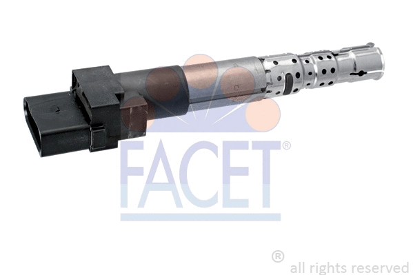 FACET 96335