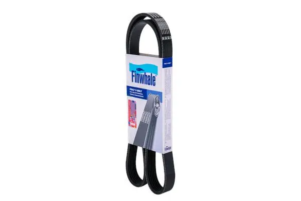 FINWHALE BP6PK1255