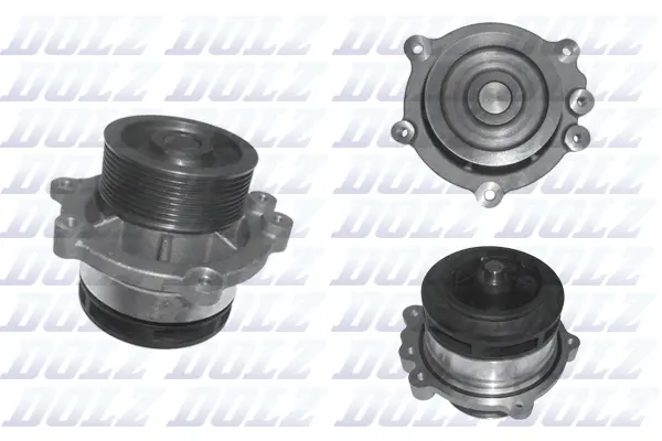 DOLZ D204