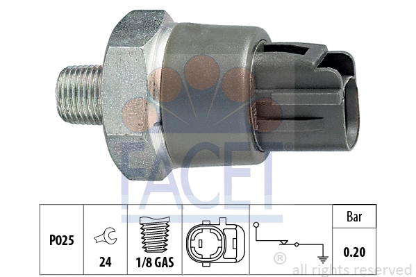FACET 70114