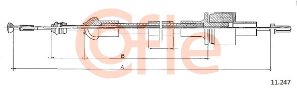 COFLE 11247