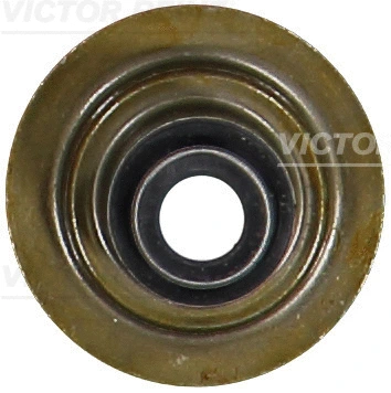 VICTOR REINZ 703188100