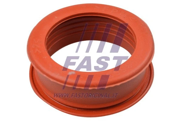FAST FT61773