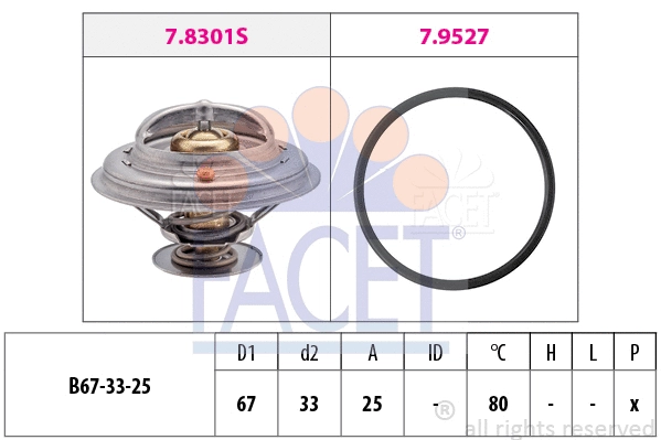 FACET 78301